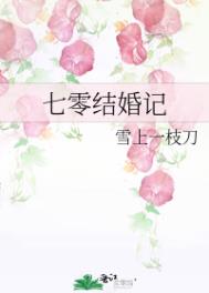 七零结婚记小说封面